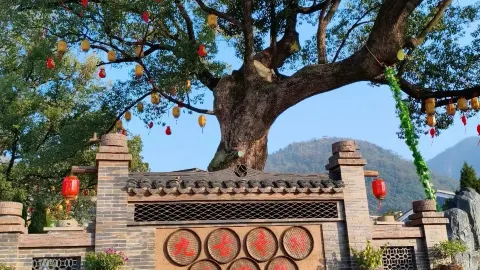 Visited Daye six times to discover the six must-see scenic spots — traveler post in Daye