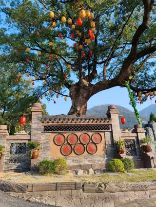 หลังจากไปเที่ยวต้าจือมาหกครั้ง ในที่สุดฉันก็ได้ค้นพบสถานที่ท่องเที่ยวที่คุ้มค่าที่สุดหกแห่งนี้