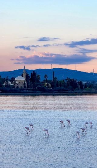 Larnaca Salt Lake: One Mirror, Two Worlds