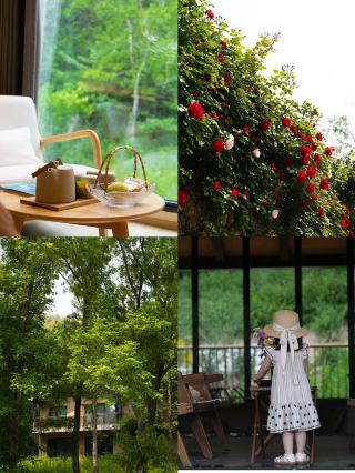 合肥の小イリを発見！子どもと一緒に森の童話の中に泊まろう