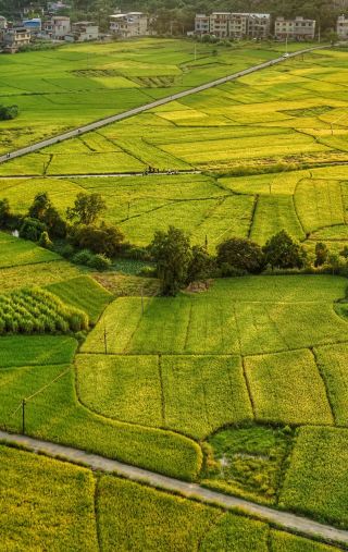 Guilin's Hidden Gem: Free Rice Fields + Karst Cave One-Day Tour Guide