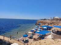 Mixed Feelings on Club Reef Resort: Great Atmosphere Marred by Health Concerns