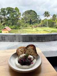 Unforgettable Honeymoon at a Luxurious Resort