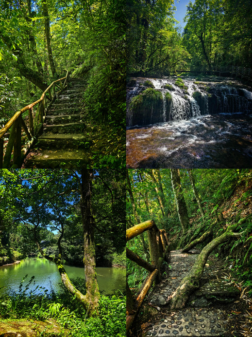 The ultimate summer escape near Chengdu: A 21°C primitive forest