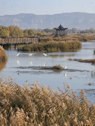 Weinan Travel Guide | Experience the landscapes and culture of Huashan and Qichuan in one trip