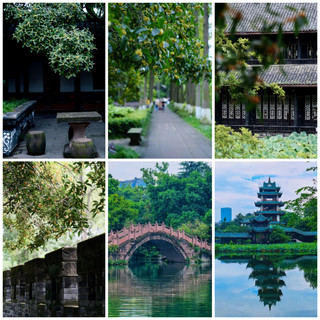 Chengdu Guihu Park Osmanthus Viewing Guide | Golden Autumn Exclusive, Fragrance Fills the Park!