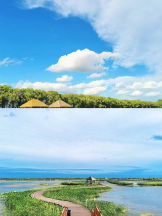 Explore Fujin National Wetland Park in Fujin, Jiamusi, Heilongjiang Province