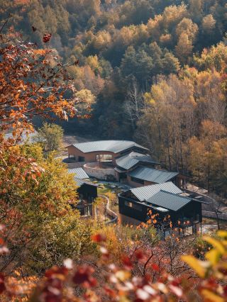 Breathtaking autumn scenery near Beijing! Mountain private hot springs and chestnut picking are so therapeutic