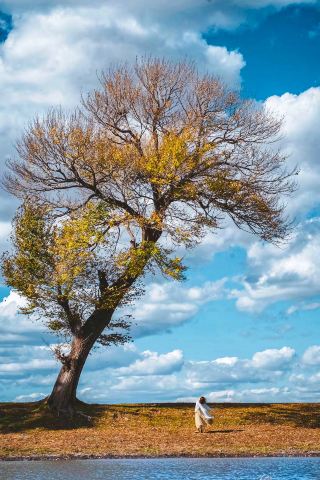 ได้ภาพฤดูใบไม้ร่วงที่เสิ่นหยางสวยอลังการมาก เหมือนทำจานสีหกใส่เลย 🎨