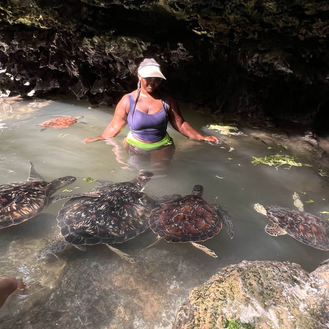 Experience nature up close in Nungwi zanzibar