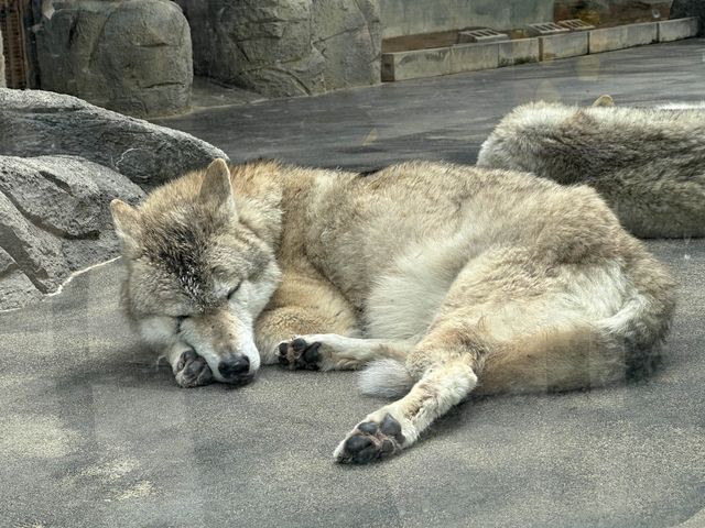 今なら赤ちゃんに会えるかも！？