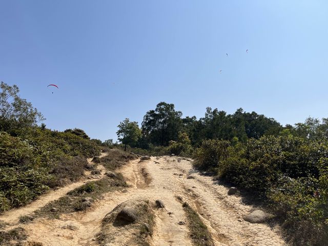 挑戰成功！由馬鞍山村出發行上昂平草原
