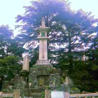 Amazing Toyama