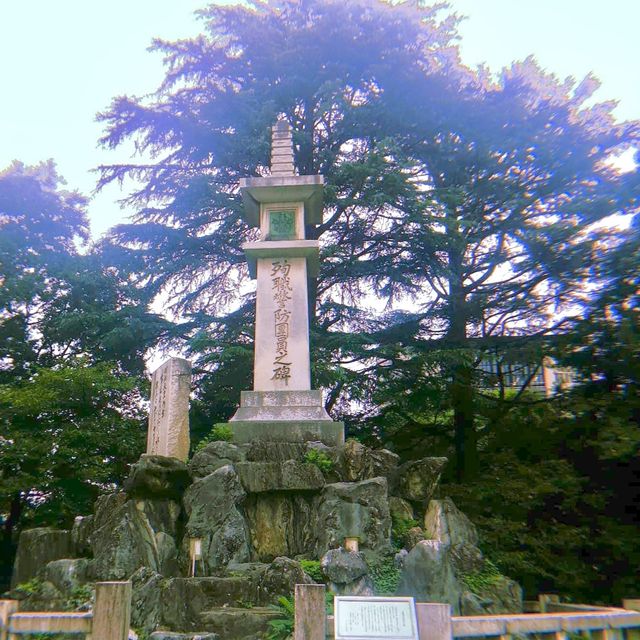 Amazing Toyama