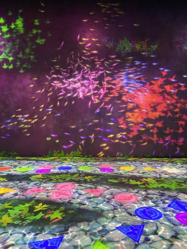澳門其中一個最火紅的景點😍 #teamLab 無買錯飛～^_^入面好靚又好玩！