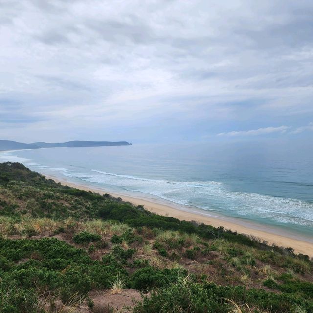 Bruny Island Neck Game Reserve