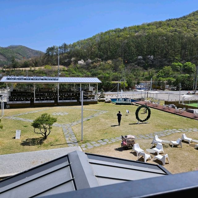 전주 근교 펫존이 있는 대형카페 애드리브