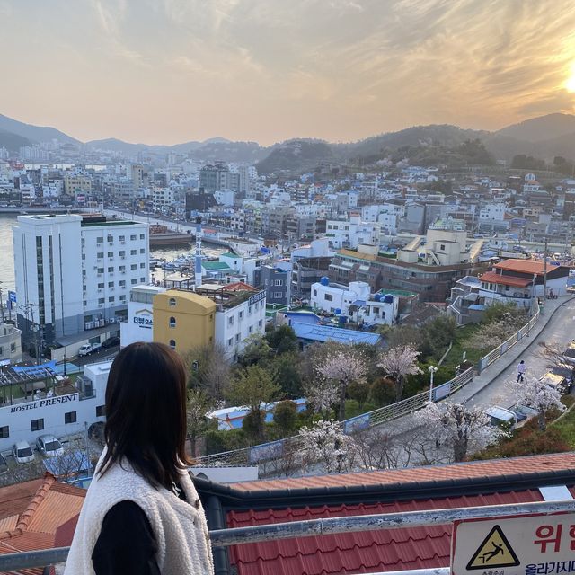 통영 아기자기한 동피랑 마을 다녀왔어요 😍