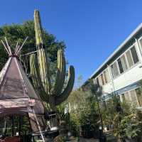 都会のオアシス🌵 SHARE GREEN MINAMI AOYAMA