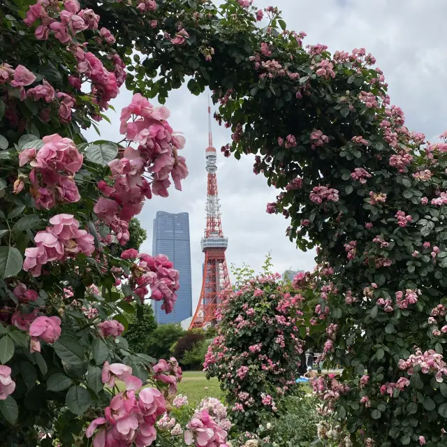浪漫玫瑰花圈內的東京鐵塔