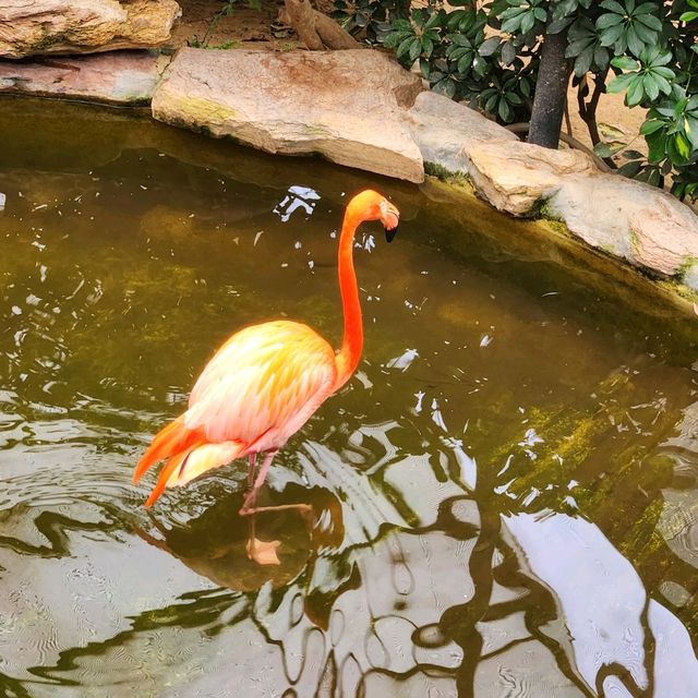 香港動植物公園一日遊