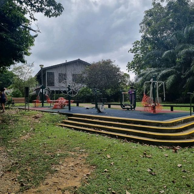 Macritchie Reservoir Like Never Before