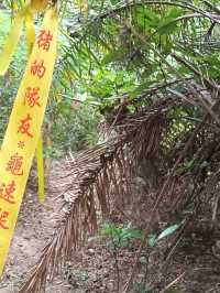 假日坐車又坐船又行山又游水特別興奮