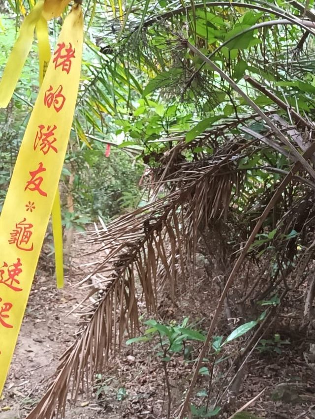 假日坐車又坐船又行山又游水特別興奮