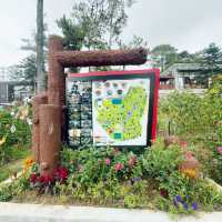 Exploring Baguio’s Botanical Wonders