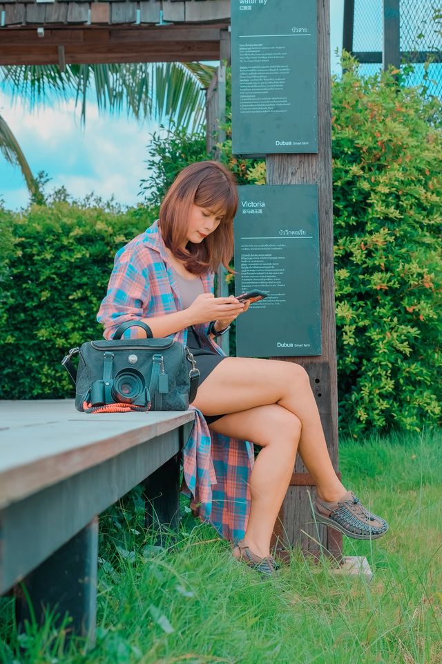 DubuaCafe : ดูบัว คาเฟ่ ฟาร์ม