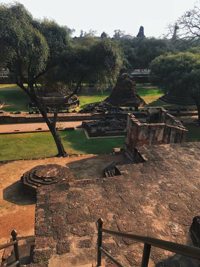 《曼谷》大城府世界文化遺產 泰國七大奇觀樹中佛頭-帕瑪哈泰寺