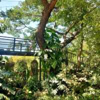 คาเฟ่ ฟีลธรรมชาติ