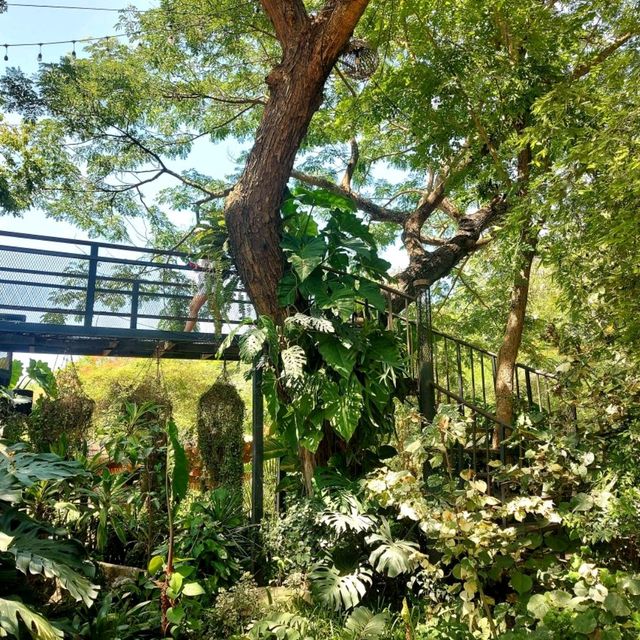 คาเฟ่ ฟีลธรรมชาติ