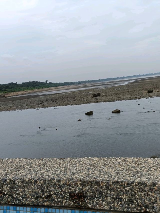 永安漁港的觀光漁市