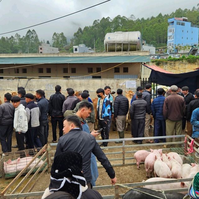 Market in Ha Giang are lively n noisy