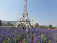  สวนดอกไม้กลางหุบเขา ในถิ่นอีสาน