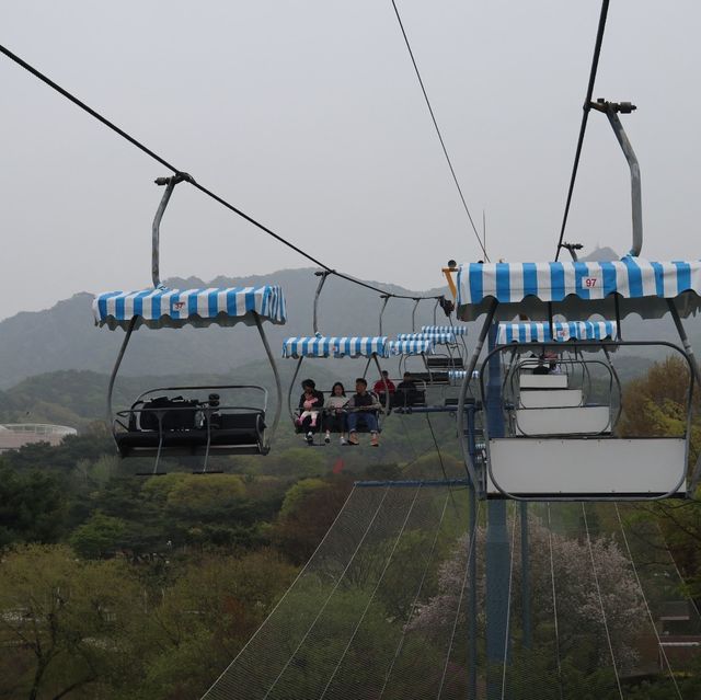 探險首爾大公園 🚡🦓🏞️