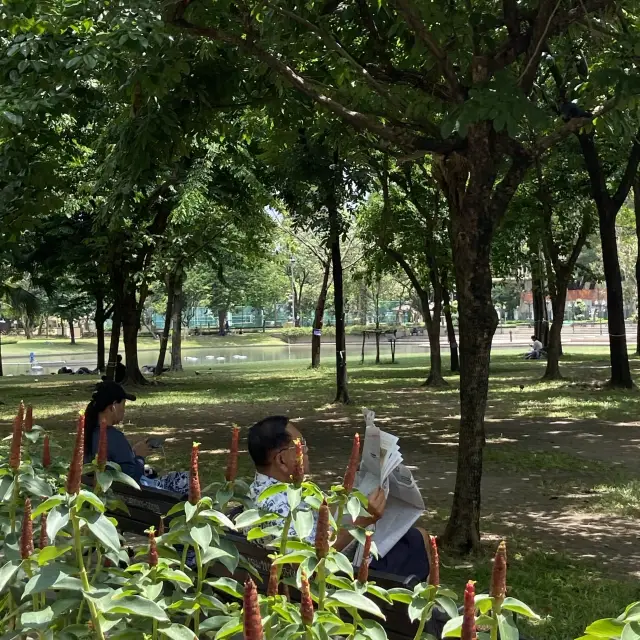 태국 방콕 도심공원 추천 벤짜시릿🌳 