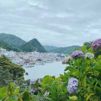 浪漫繡球花祭