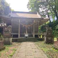 山中温泉　【栢野の大杉 (かやののおおすぎ)]