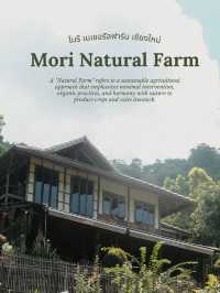 Mori Natural Farm โมริ เนเชอรัลฟาร์ม เชียงใหม่🌳☁️