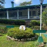 A Paradise in the City of Pines