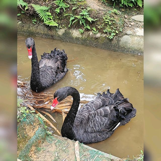 台灣新竹親子同遊好地方😍
