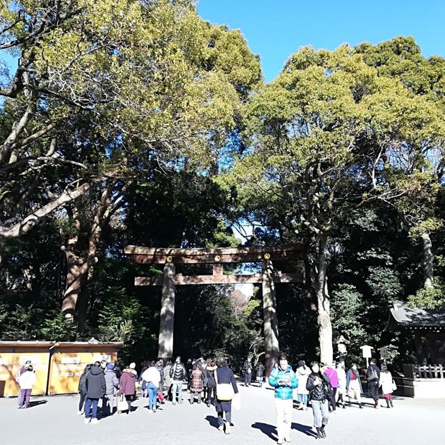 東京御朱印巡り