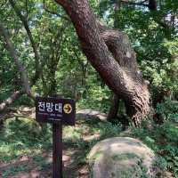 ［釜山］一小時來回快閃登山～金剛山纜車之旅