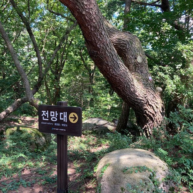 ［釜山］一小時來回快閃登山～金剛山纜車之旅