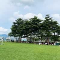 假日野餐好去處 @ 添馬公園
