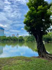 방콕에서 여유롭고 한적한 공원을 찾는다면 룸피니공원🌳