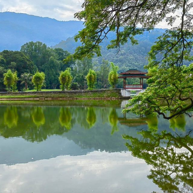 Taiping Lake Gardens