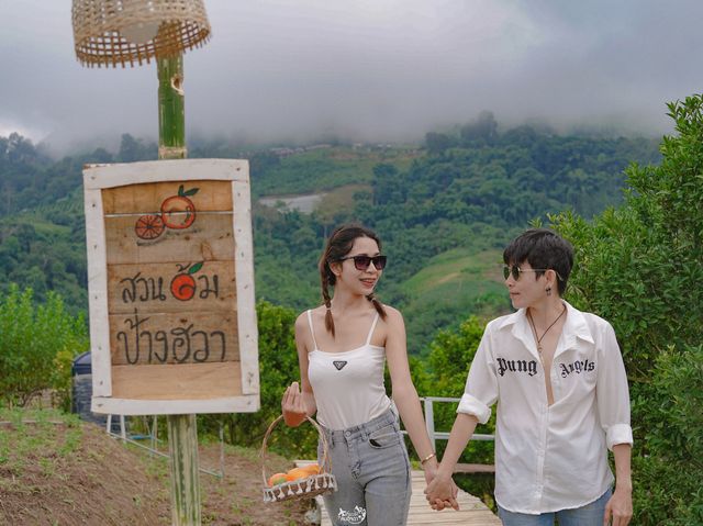 สวนดอกไม้ ป้างฮวา&สวนส้ม